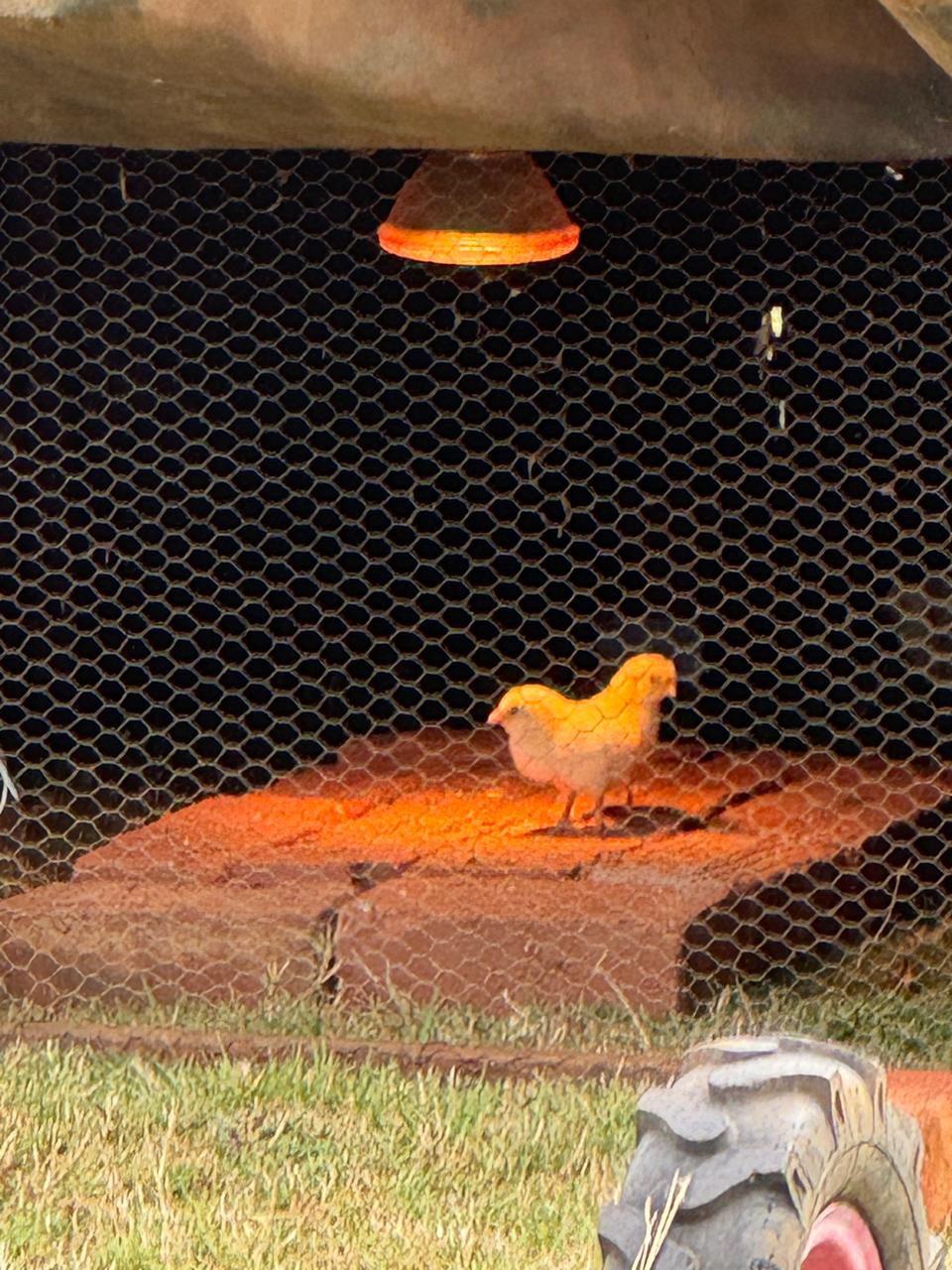 Latest property view